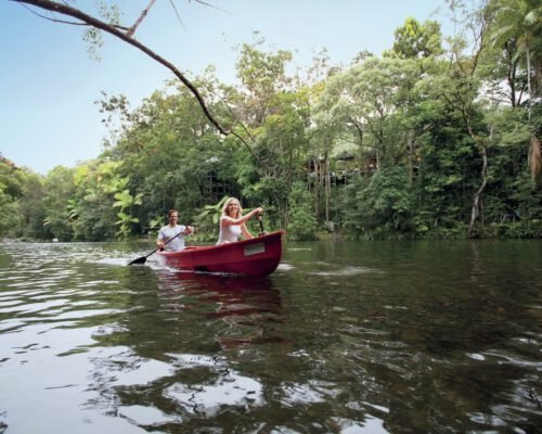 daintree-rainforest-kayak-1